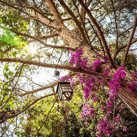 Kemping Secret Garden &