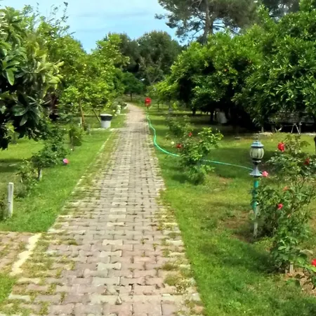Secret Garden & Kemping